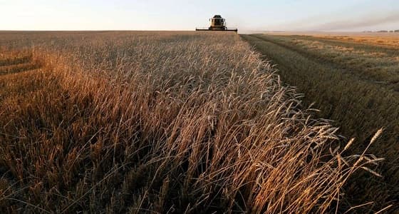 مفاوضات بين إيران وروسيا بشأن تصدير القمح للعراق