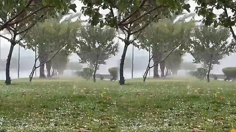 هطول البرد على الطائف ..فيديو