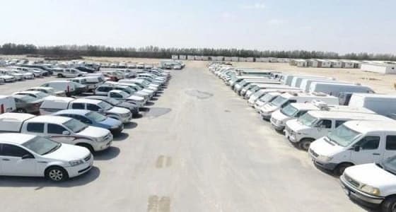 بالفيديو.. تفاصيل فعاليات مزاد " معن الصانع " الأول بالمنطقة الشرقية