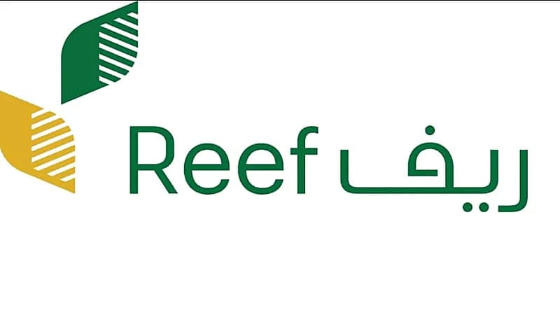 ريف يكشف عن شروط دعم المتقدمين إليه في الأنشطة الزراعية