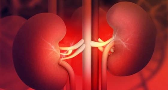 5 أعضاء في جسم الإنسان أصغر من عمره بـ 10 سنوات