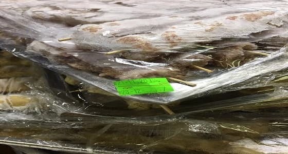 بالصور.. رصد 6 محال مخالفة للاشتراطات في المدينة