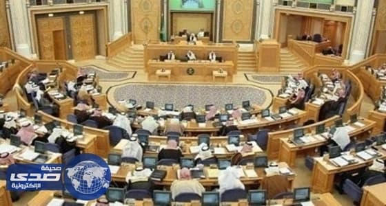 عضو بالشوري: رفع الدعم عن المواد الغذائية يوفر أموال الدولة