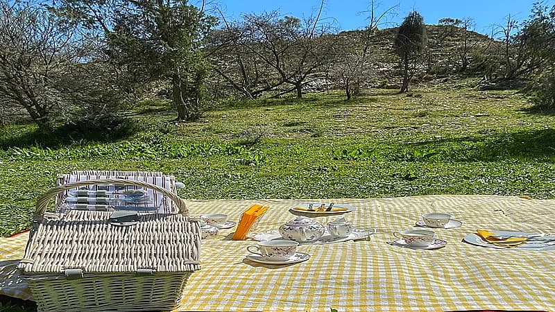 بالفيديو.. كشتة على الطريقة الأوروبية في المندق