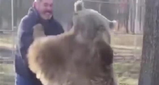 بالفيديو.. رجل يلعب استغماية مع دبين في الغابة