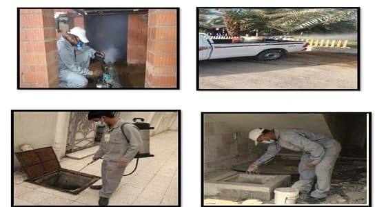 تنفيذ برامج الإصحاح وتفقد 16 ألف منزلا خلال الربع سنة الأول بالمدينة