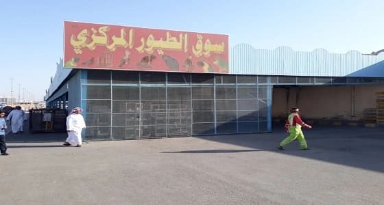 تدابير وقائية على حراج الطيور بمكة المكرمة