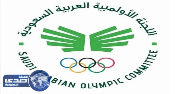 فتح باب الترشح لرئاسة مجلس إدارة الأولمبية