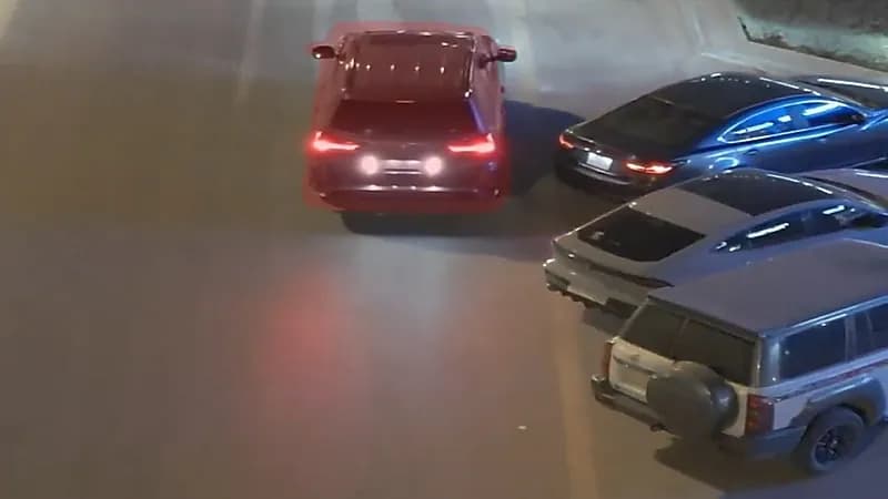 الداخلية تحذر من مخالفة مرورية أثناء الرجوع إلى الخلف.. فيديو