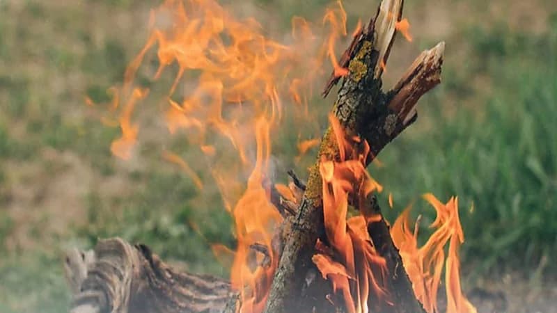 ضبط 5 مخالفين لنظام البيئة لقيامهم بإشعال نار في غير الأماكن المخصصة لها