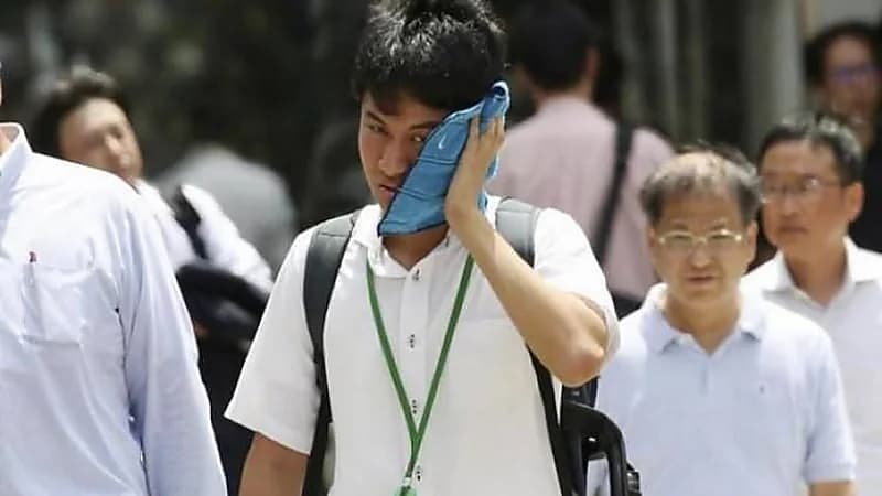 ضربات الشمس تودي بحياة 23 شخصًا في اليابان