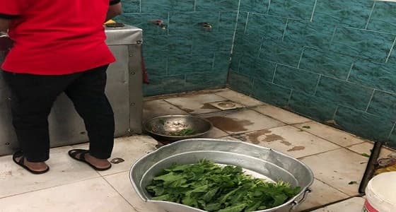 بالصور.. " الرقابة الشاملة " تضبط مخالفات صحية بأحد المطاعم لـ " نجران "