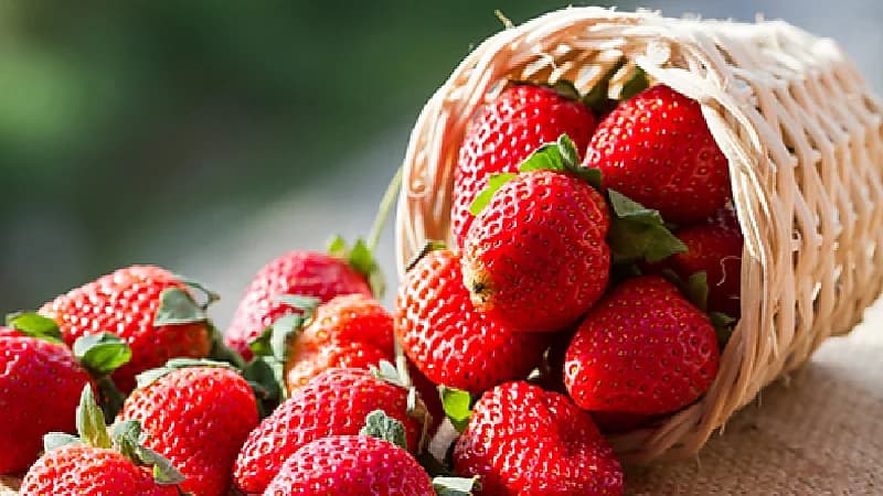 تحذير أمريكي من تناول فراولة يحتمل تسببها في الالتهاب الكبد الوبائي