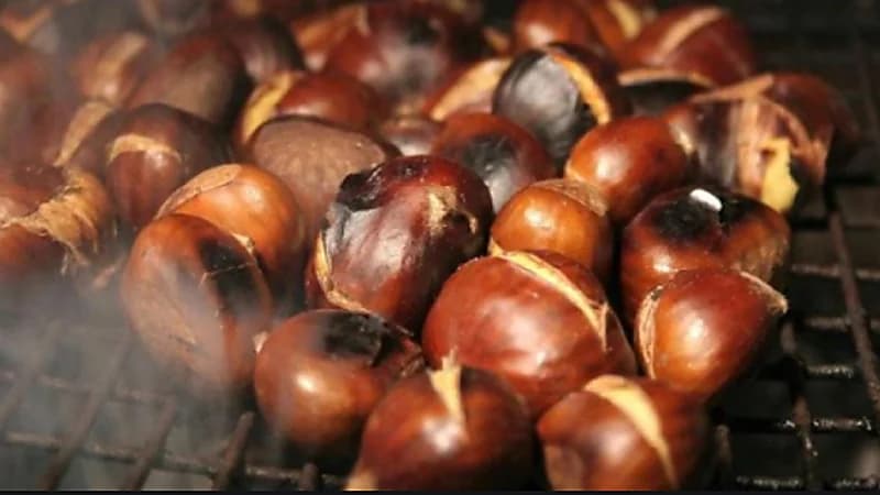 " مكسرات أبو فروة " تساعد على إنقاص الوزن وتحمي من السرطان