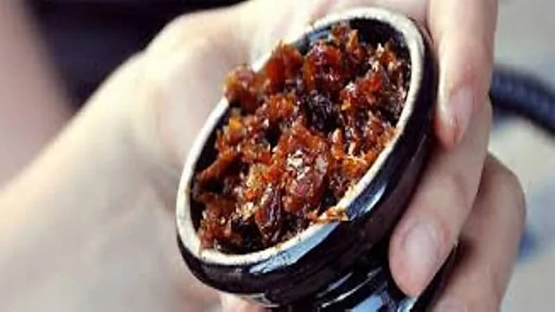 خالد النمر: المعسل أسوأ من الدخان ورأس منه يعادل 100 سيجارة