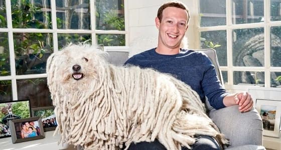 " كلب " سبب في إتمام صفقة شراء " مارك زوكربيرج " لواتساب