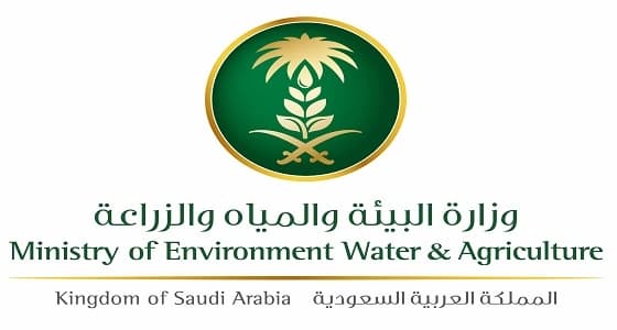 " البيئة " تحظر استيراد الخضار والفواكه من كيرلا الهندية وتوضح السبب