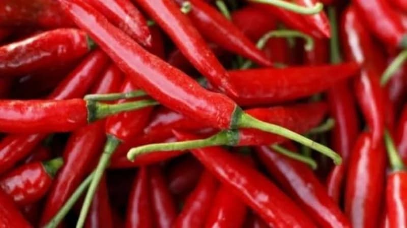 فوائد تناول بذور الفلفل الأحمر