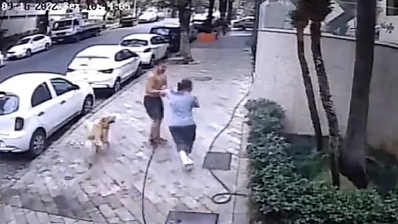 شاهد .. مناصر للبيئة يهاجم عاملة نظافة كانت تغسل الرصيف بالماء