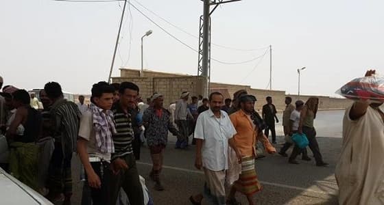 بالفيديو.. كارثة تهدد الاقتصاد اليمني بسبب الانقلابيين