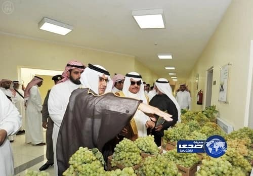 حبس البلتاجي 15 يوماً بتهمة تعذيب مواطنين بـ"رابعة"