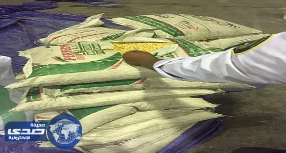 جمرك ميناء ضباء يحبط تهريب 3.5 مليون حبة مخدرة