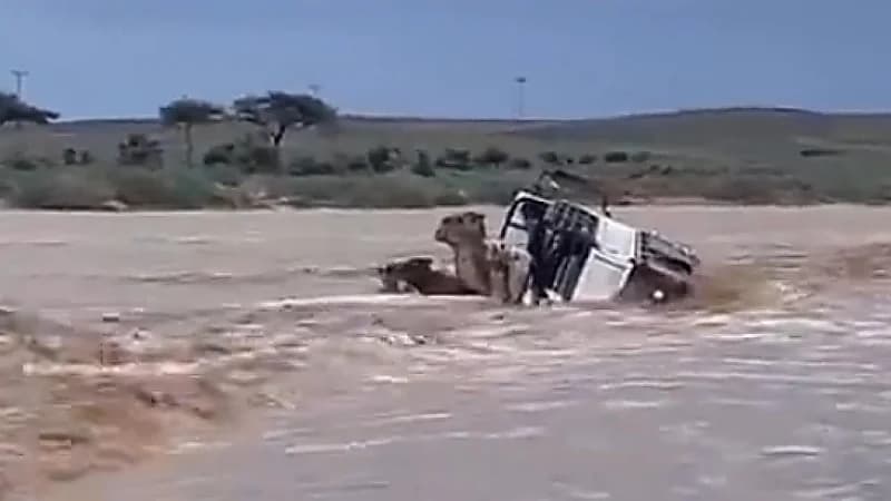 بالفيديو.. انقلاب مركبة محملة بـ "الجمال" وسط السيل في شرق الحناكية
