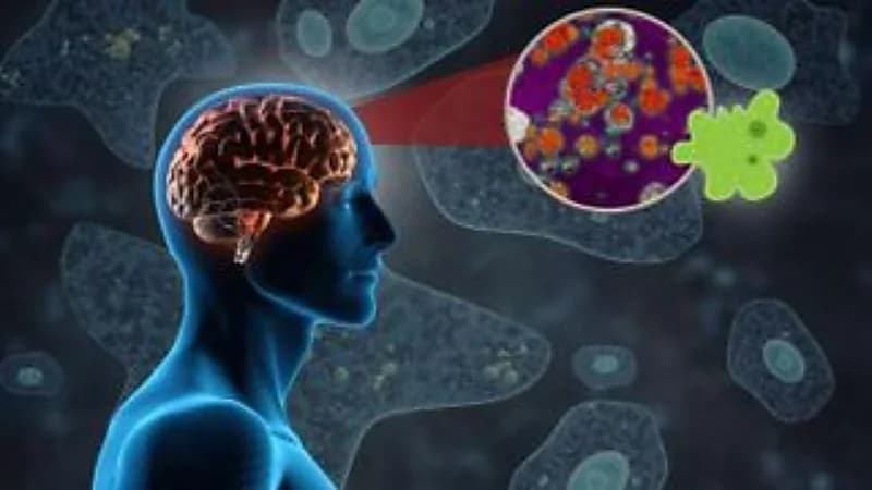 انتشار الآميبا آكلة الدماغ في الهند