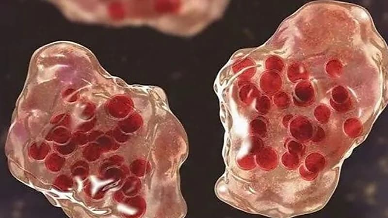 العلماء يحذرون من فيروس خطير يتسبب في الوفاة