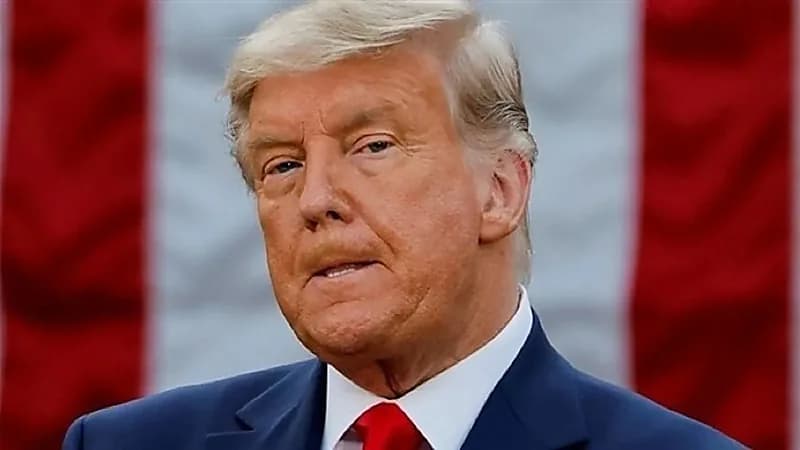 ابنة شقيق دونالد ترامب تهاجم عمها وتصفه بـ "الفاشل"