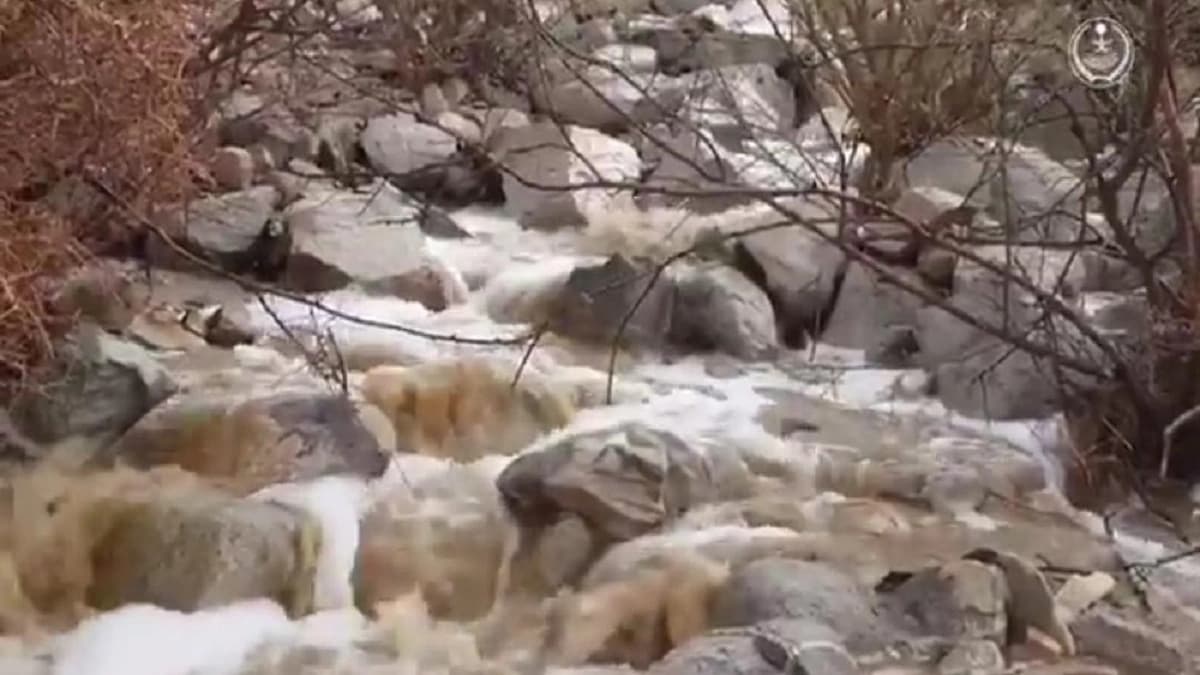 بيان من " المرئي والمسموع " بشأن قيمة تذاكر الأفلام