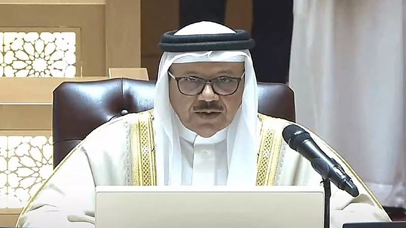 بالفيديو.. الزياني: قمة العلا حققت خطوات مهمة نحو تعزيز التعاون المشترك