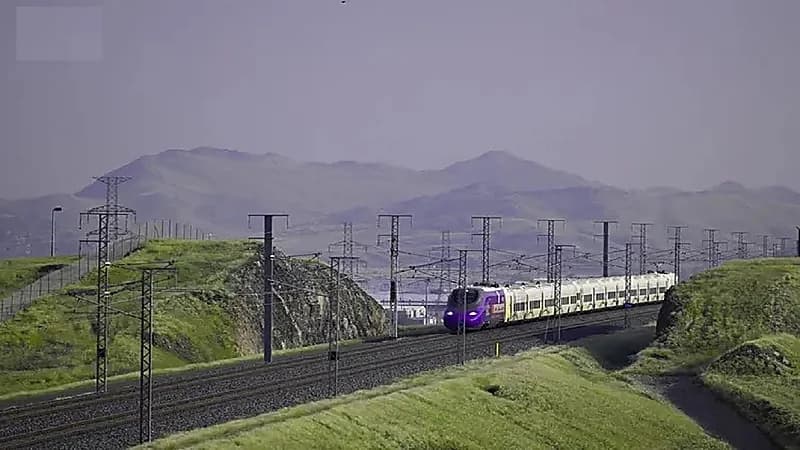 مشاهد خلابة لمساحات خضراء على طريق قطار الحرمين السريع .. صور