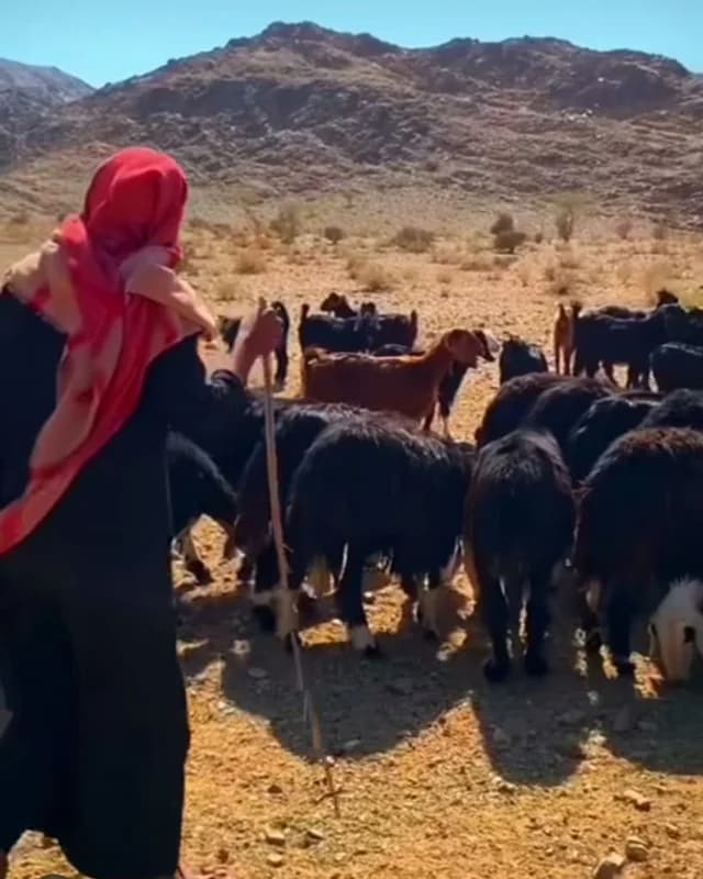 لقطة جميلة من زمن الطيبين