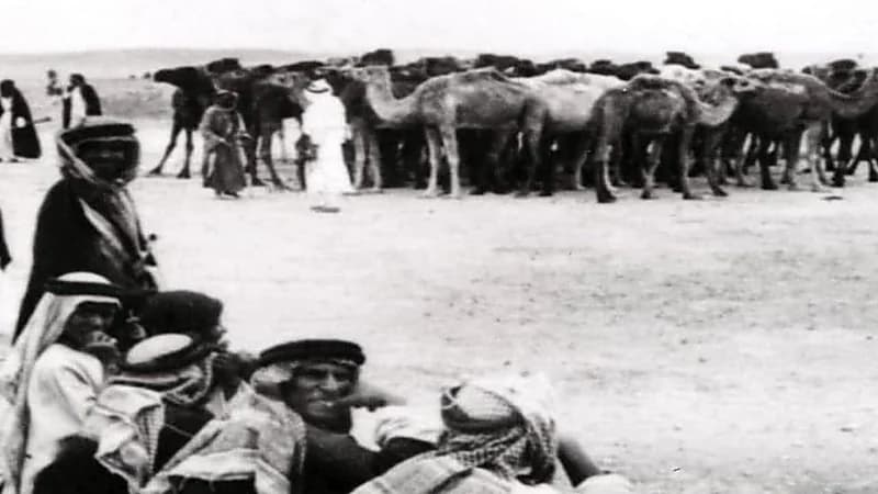 "صورة".. لحظة توزيع الجمال على الأبطال استعدادًا لمعركة توحيد المملكة