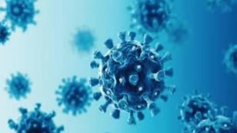 سلالتان من أوميكرون تتسببان في موجة تفش جديدة