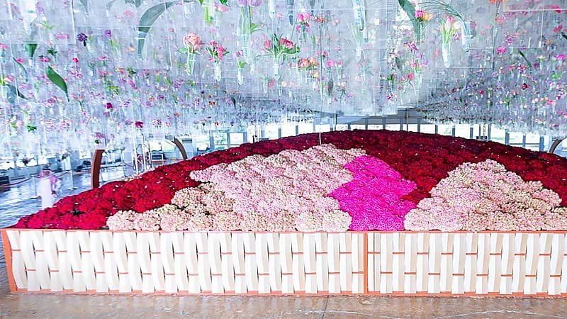 بالصور.. سلَّة طائف الورد تحطم رقما قياسيا