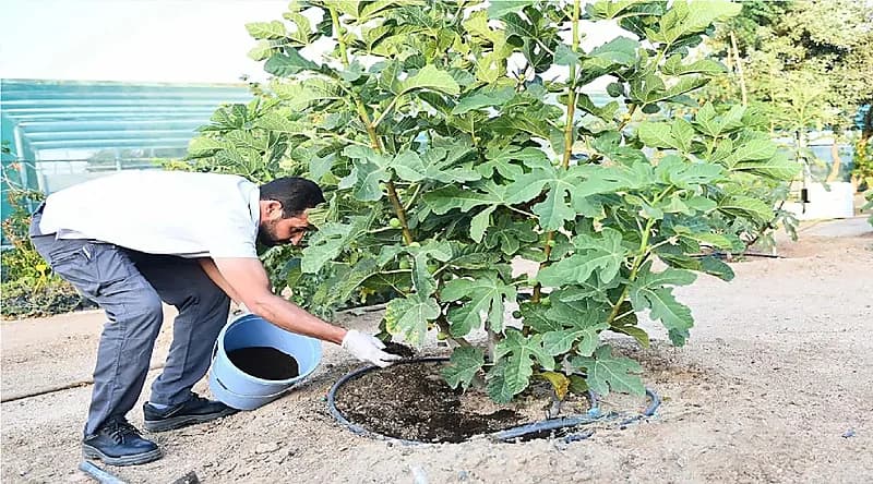 مواطن يستعين بالديدان لتزويد المزارعين بالأسمدة