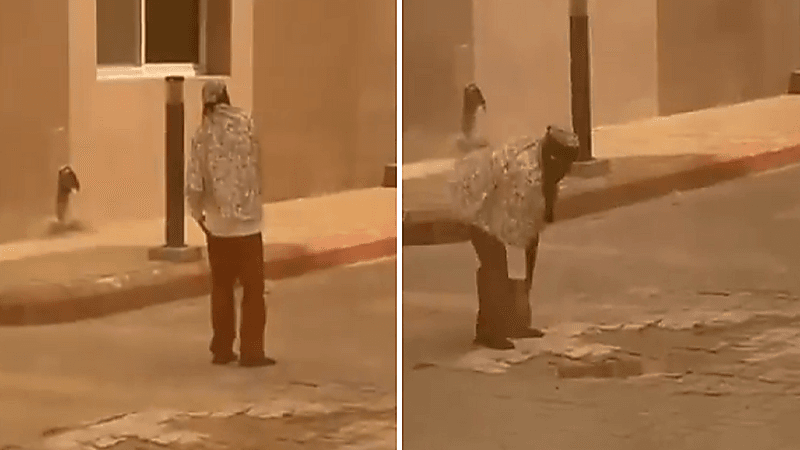 جامعة الباحة تتحرك في واقعة قيام عاملة نظافة بسلوك مشبوه بشطر الطالبات بالمخواة