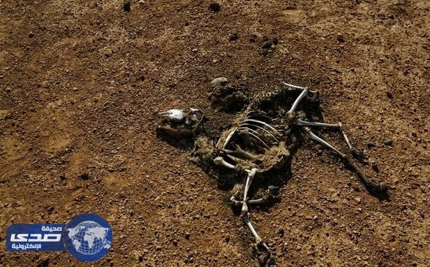3 مليون شخص في بوروندي يواجهون مخاطر انعدام الغذاء ..والأمم المتحدة تحذر