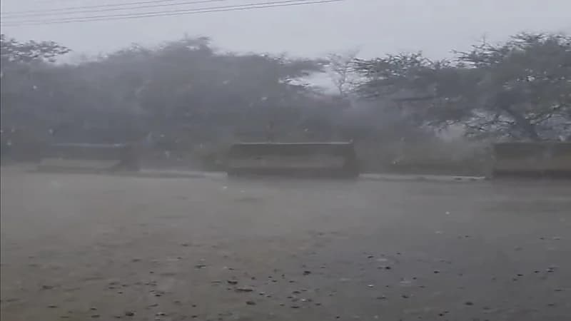 شاهد.. أمطار بردية كثيفة بشفا الطائف