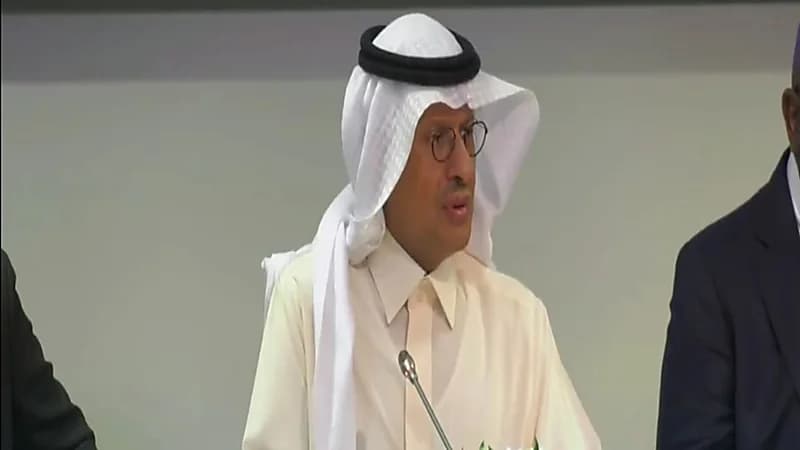 وزير الطاقة: أوبك بلس ستبقى كقوة أساسية لاستقرار الاقتصاد العالمي