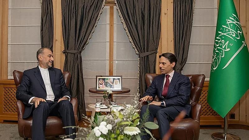 وزير الخارجية يلتقي نظيره الإيراني في دافوس