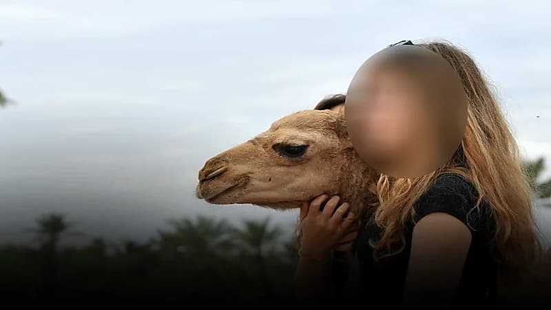 ناقة تعض سائحة أمريكية داخل مدرسة مصرية