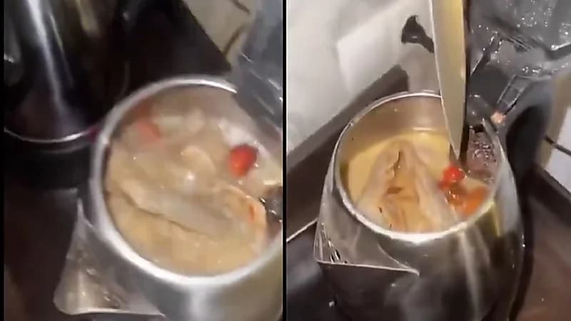 نزيل بفندق يطبخ الكبسة في غلاية كهربائية .. فيديو