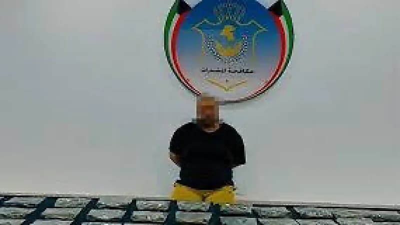 القبض على مقيم يخلط مبيدات حشرية بالمخدرات في الكويت