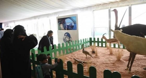 بالصور.. الهيئة السعودية للحياة الفطرية تحاكي البيئات الطبيعة في الجنادرية