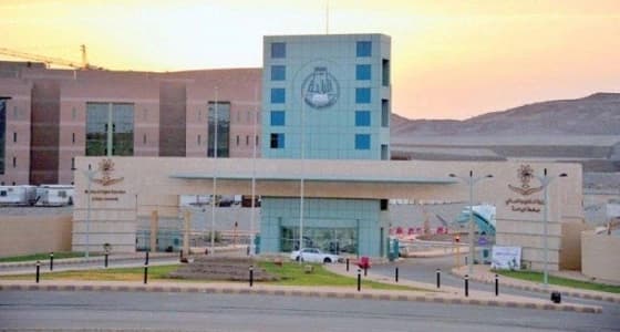 جامعة الباحة تنظم سباقا للخيل بمحافظة العقيق