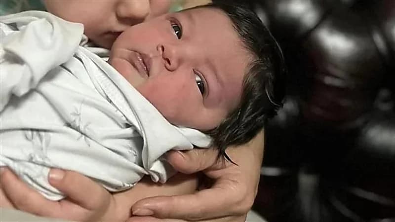 مقتل رضيعة أثناء نومها بواسطة كلبين مسعورين