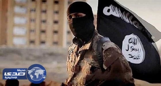 فرنسا تعلن دعمها للجيش اللبناني في معركته ضد " داعش "